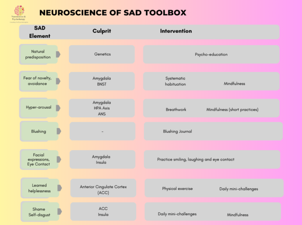 the social anxiety toolbox